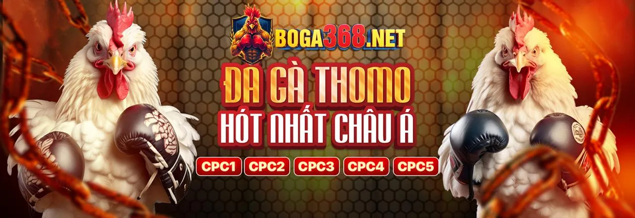 Đá gà trực tuyến k89 link mới